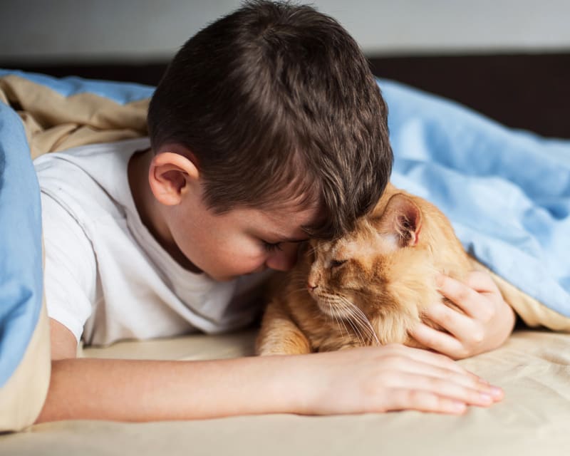 Snellville Animal Hospital | Snellville GP Vet